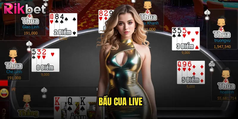 Bầu Cua Live rikbet Trực Tiếp Với Dealer Xinh Đẹp 24/7 2 bầu cua live