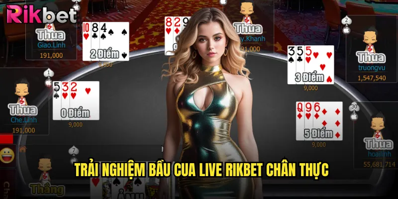 Bầu Cua Live rikbet Trực Tiếp Với Dealer Xinh Đẹp 24/7 2 Trải nghiệm bầu cua live rikbet chân thực