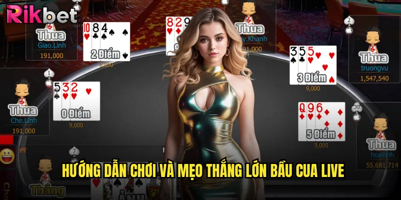 Bầu Cua Live rikbet Trực Tiếp Với Dealer Xinh Đẹp 24/7 3 Hướng dẫn chơi và mẹo thắng lớn bầu cua live